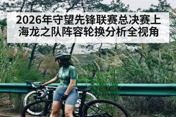 2026年守望先锋联赛总决赛上海龙之队阵容轮换分析全视角