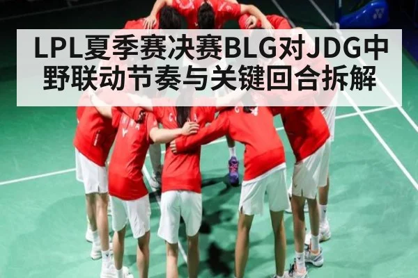 LPL夏季赛决赛BLG对JDG中野联动节奏与关键回合拆解